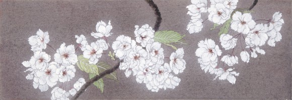 さくら　桜　サクラ　日本画　