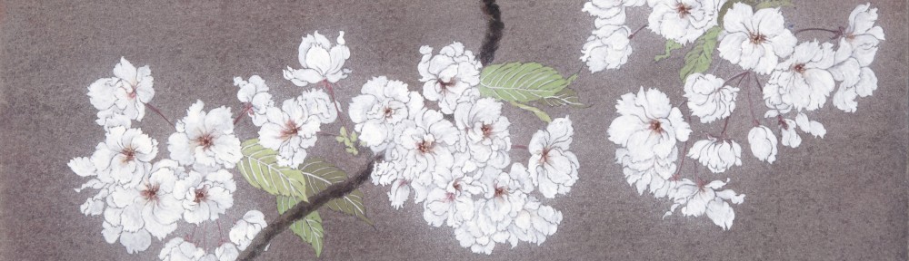 春風（さくら）