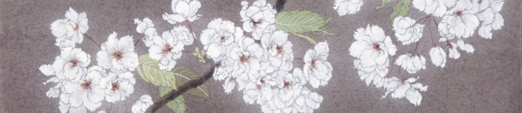 cropped-cropped-cropped-18411.jpg