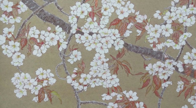 山桜　日本画　Cherry blossoms (yama-sakura)   Japanese‐style painting