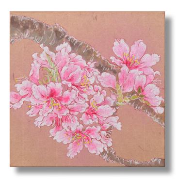 桃の花　日本画　１