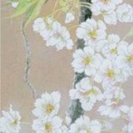 桜（ウコンざくら）日本画 Cherry blossoms-Japanese painting