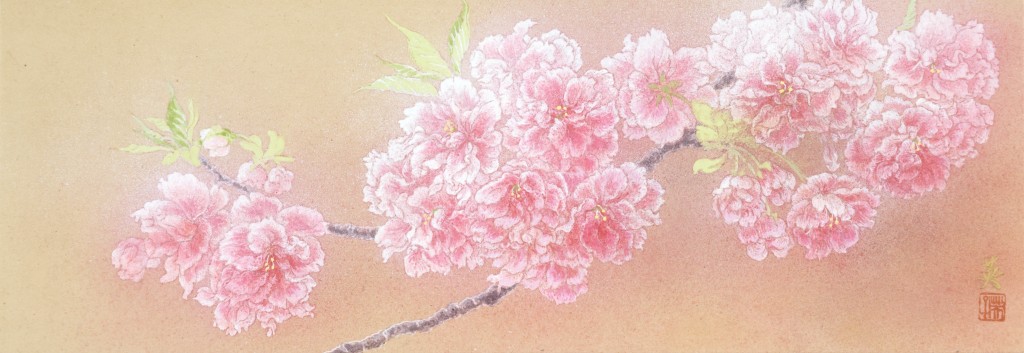 「花笑み」　さくら　日本画　Japanese painting of cherry blossoms 
　WS