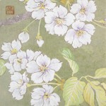 「花笑み」　さくら　日本画　Japanese painting of cherry blossoms 　１３×１３