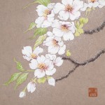 さくら　桜　サクラ　日本画　横尾英子　Japanese painting of cherry blossoms