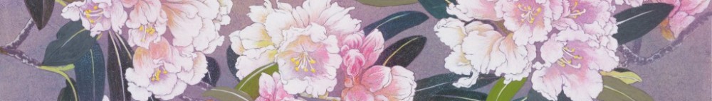 cropped-c38d64f7682d468c0ef82fe383484df3.jpg