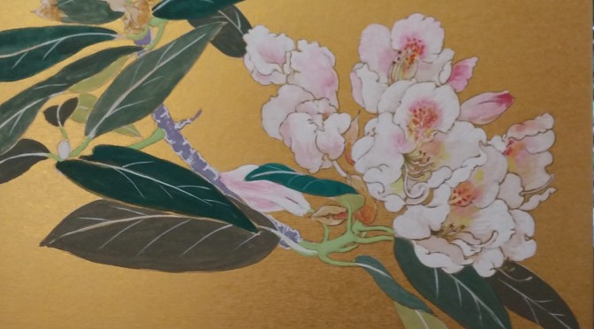 ●石楠花（シャクナゲ）スケッチと日本画３ Rhododendron-Sketch and a Japanese‐style painting 3