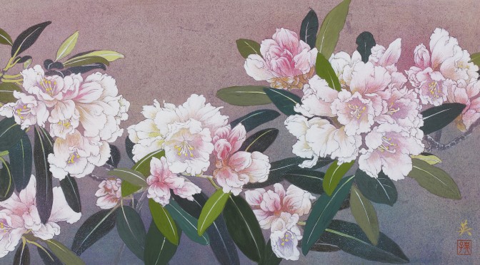 ●屋久島シャクナゲ　 日本画制作のためのスケッチ12   Rhododendron-Sketch