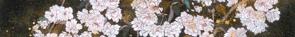 cropped-60.jpg