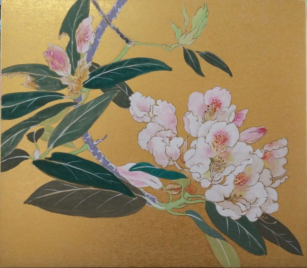 ○石楠花（シャクナゲ）スケッチと日本画３ Rhododendron-Sketch and a 