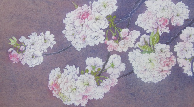 桜（福禄寿）日本画　Cherry blossoms (fukurokuju)   Japanese‐style painting