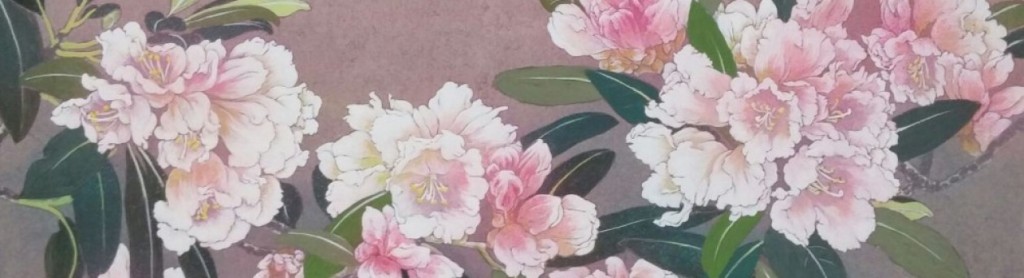 cropped-cropped-14352039190211.jpg