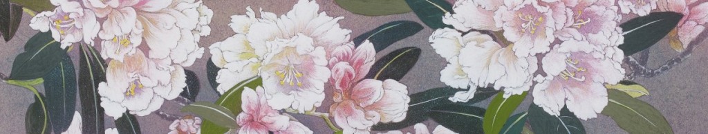 cropped-cropped-81d764b92434daf18e207f1d55eca949.jpg
