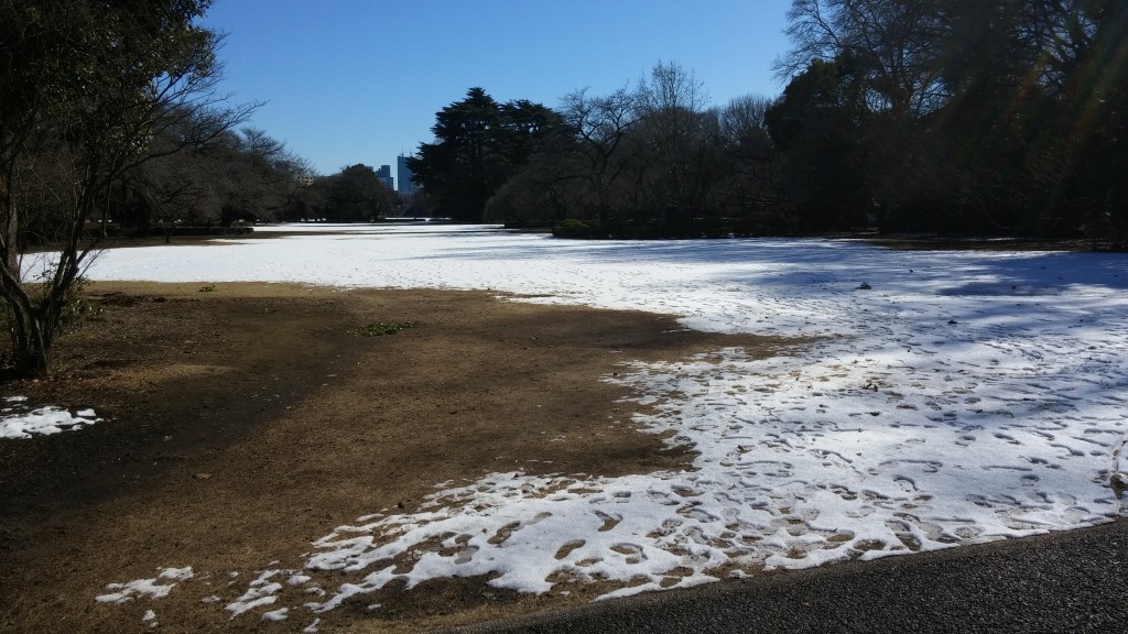 20160119_122405
