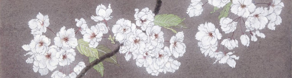 さくら