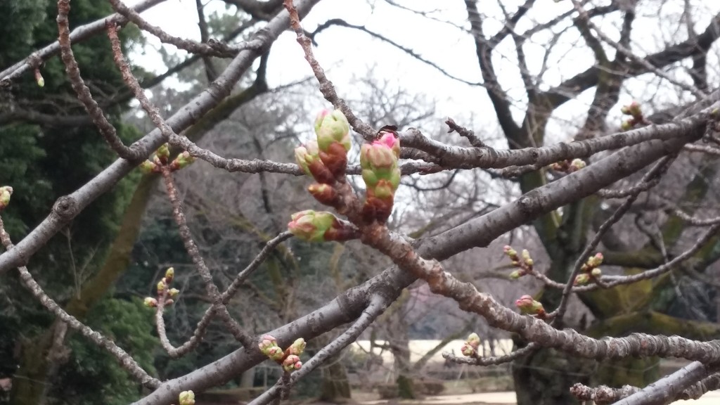 20160310_144435